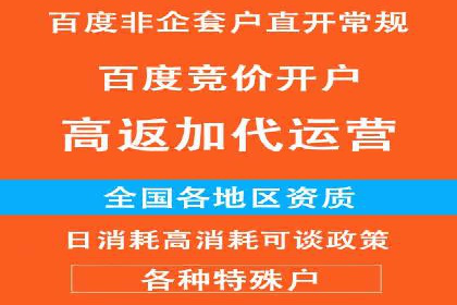 百度推广案例：成功打造行业领军品牌